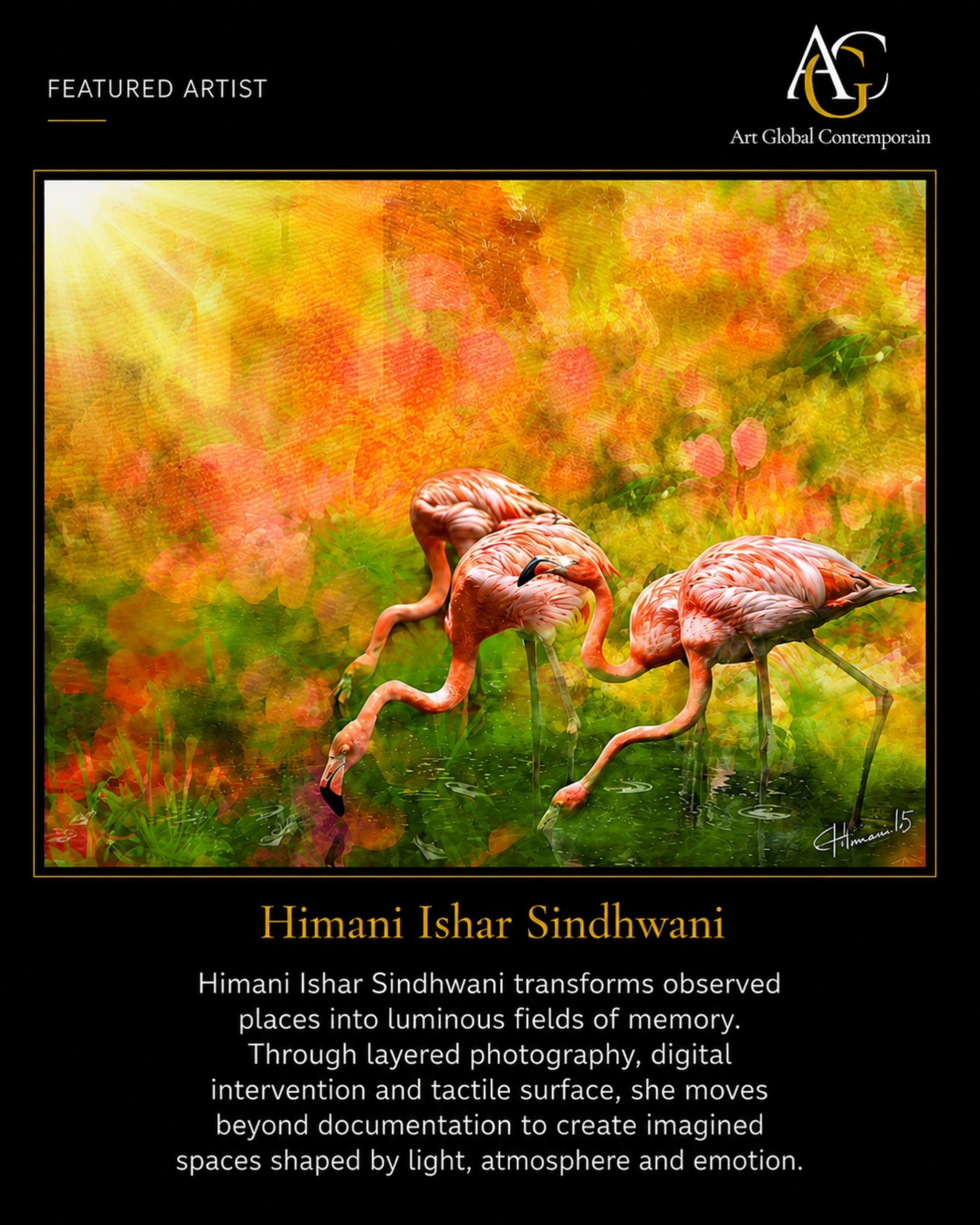 Himani Ishar Sindhwani — 8